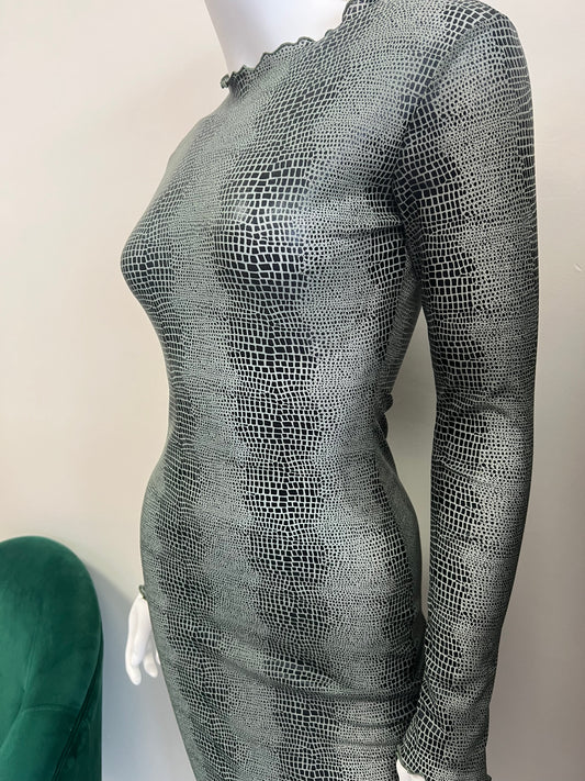 “Slime” Mesh Dress
